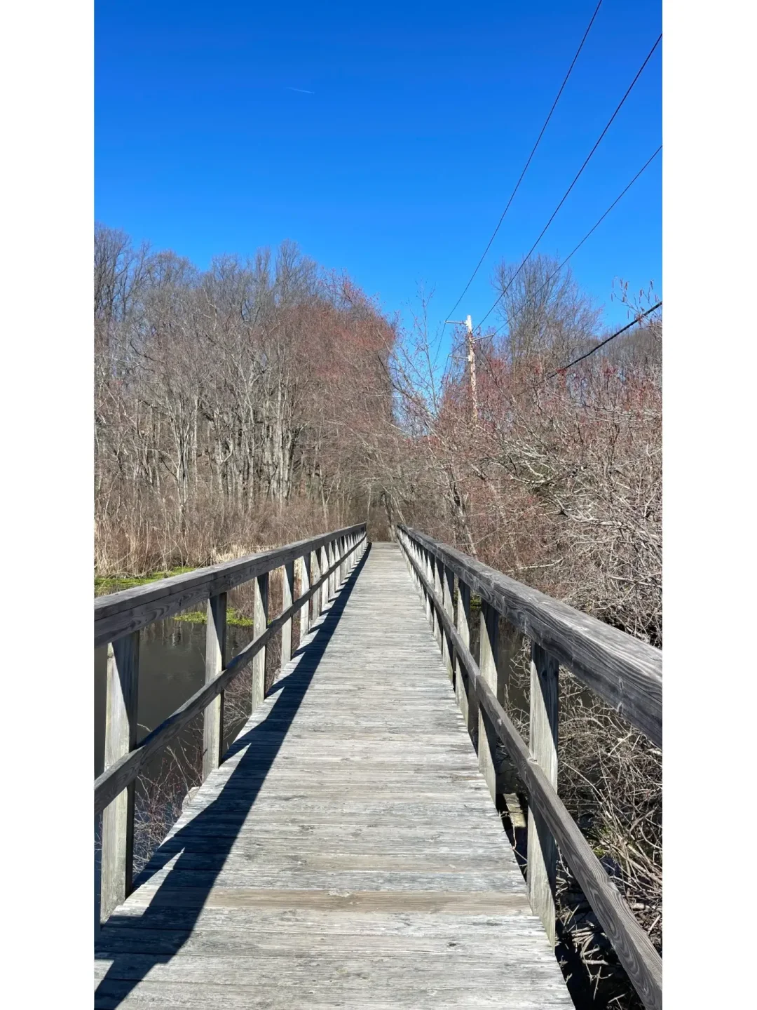 Hiking on Long Island, NYC 🌿