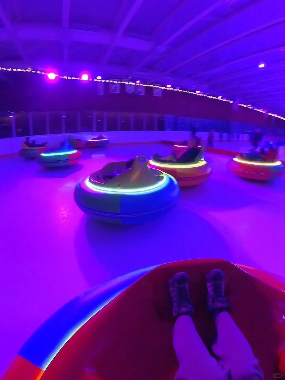 Sharing the Joy of Spending in 🦐 Town ✨️ Ice Bumper Cars