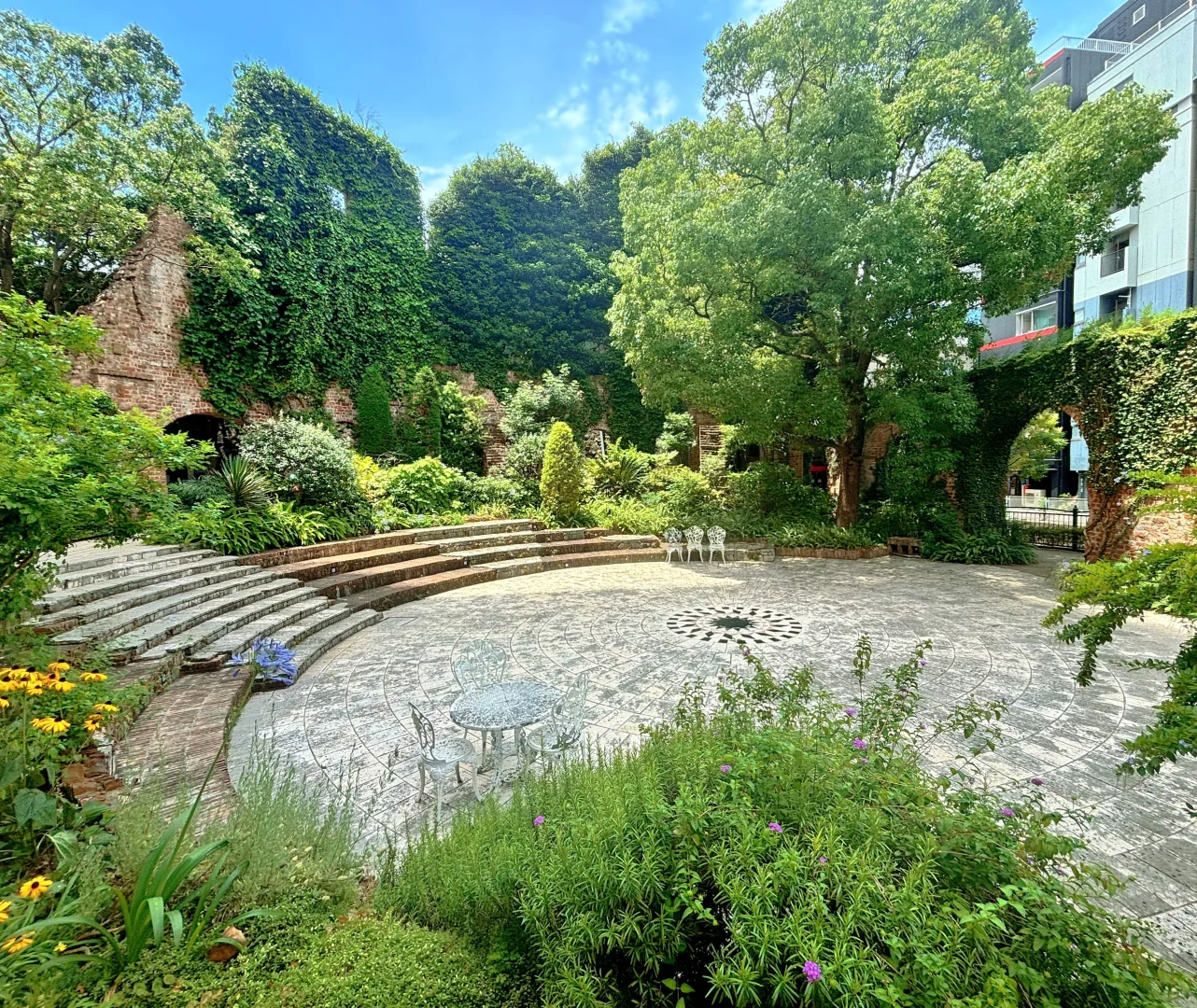 Rare Forest Restaurant in the Heart of Osaka 🌳