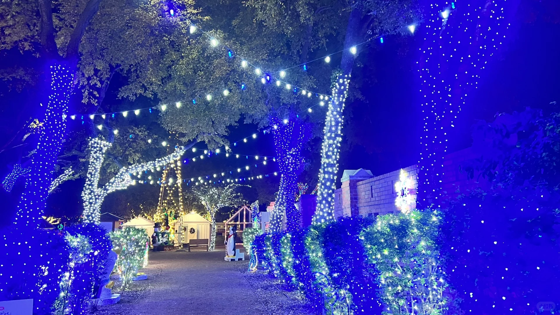 Christmas Comes Early at Dallas Farm