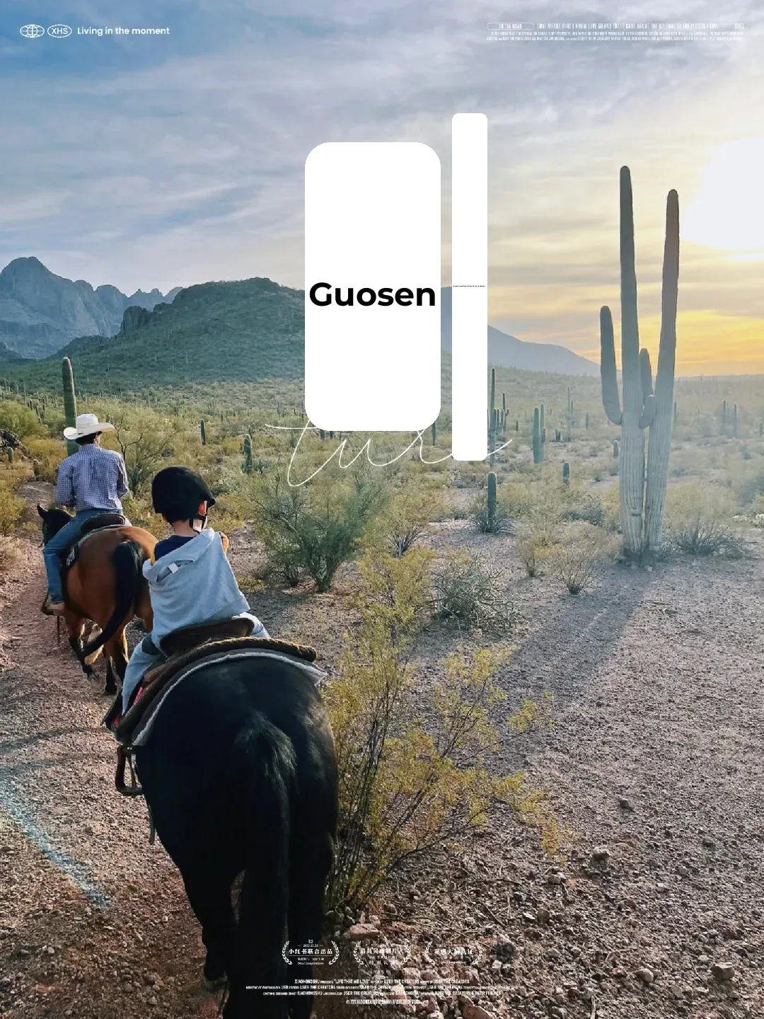 The Right Way to Experience Tucson – Sunset + Saguaro Cacti 🌵 + Horseback Riding