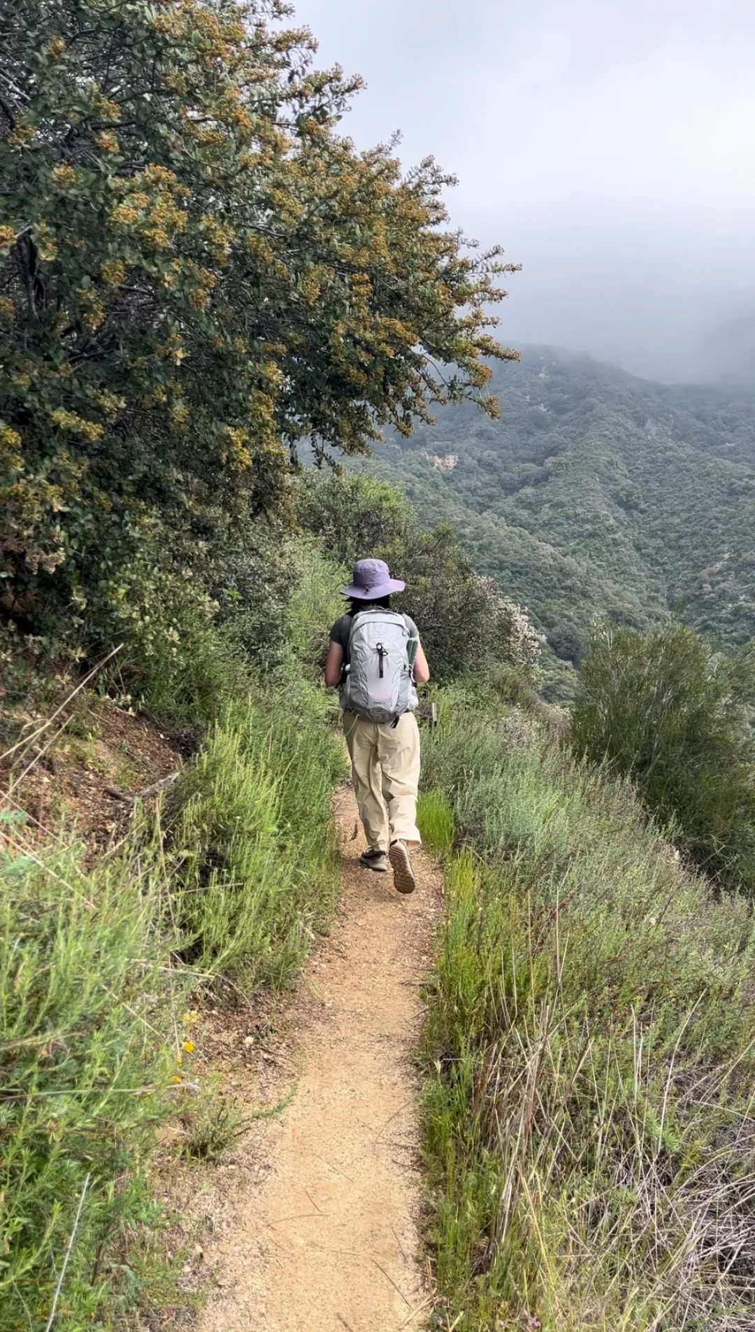 LA Hiking｜Found an amazing trail 😍