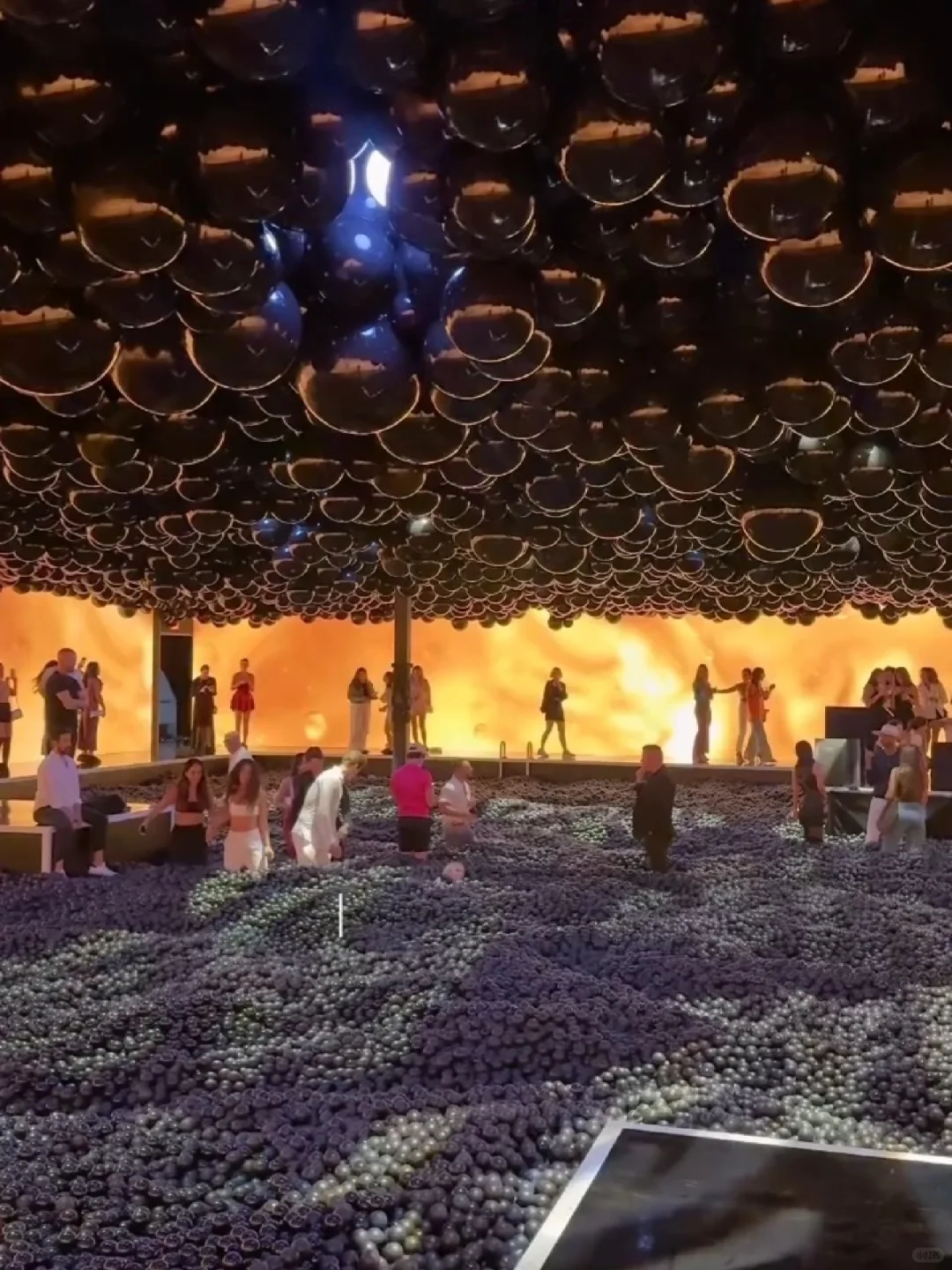 Miami Vibes: The Ultimate Balloon Playground Museum 🎈