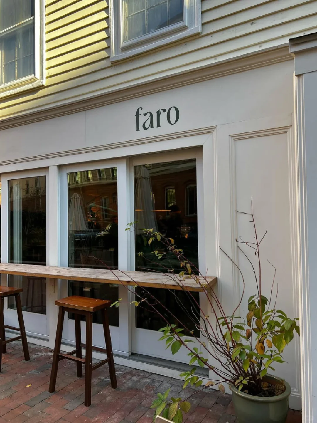 A Boston Plant-Filled Café That Boosts My Happiness ☕