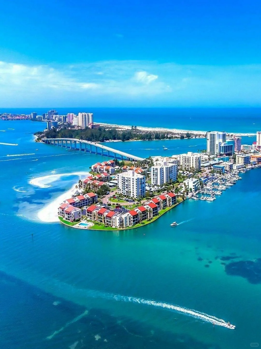 Tampa | A Must-Visit Destination in This Lifetime!! So Beautiful It Leaves You Speechless 🌈