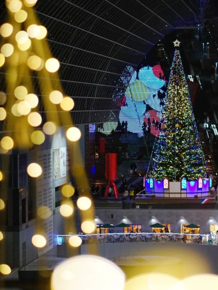 Kyoto Travel Guide || Christmas Light Show