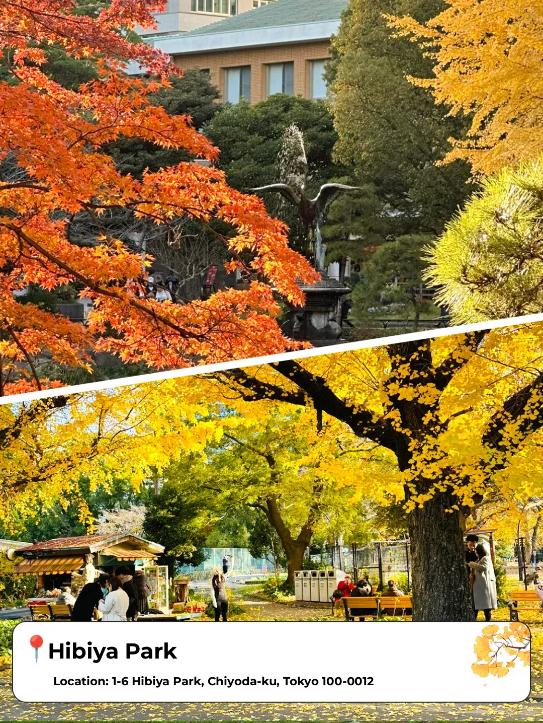 Tokyo Citywalk | 6 Places Where You Can Spend the Entire Day Without Spending a Dime