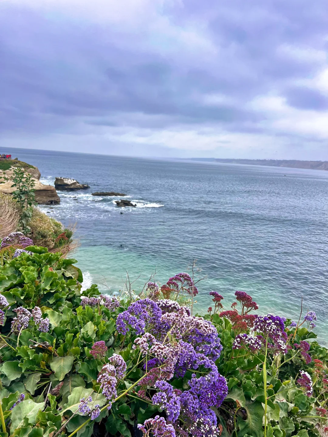 How to Explore San Diego? Plus Free Parking Tips