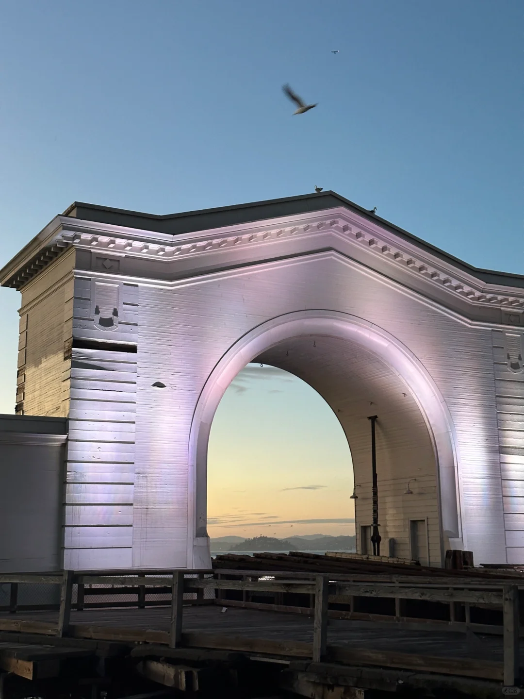 Any SF locals recommend some grub? 🥰