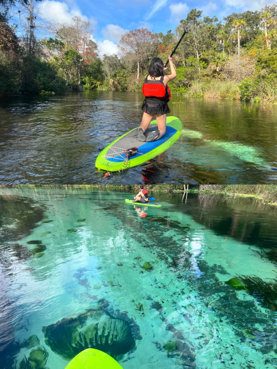 Florida | Tampa Manatees, Sarasota Route & Food Guide