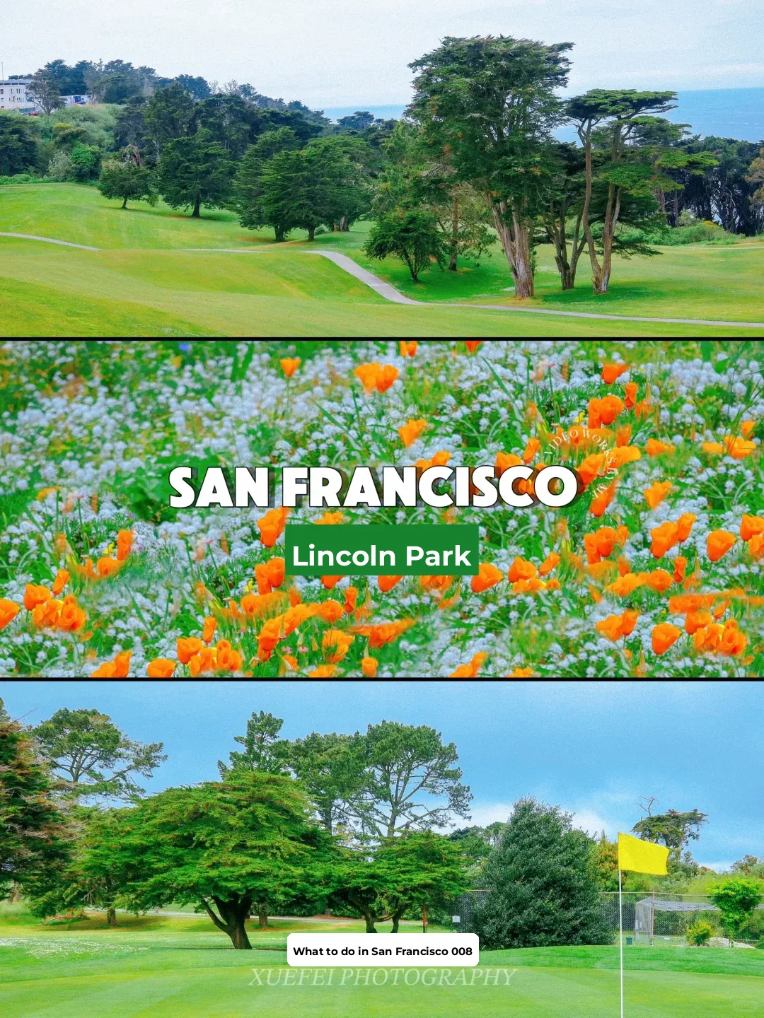 San Francisco | Lincoln Park: A Hidden Gem with Scenic Beauty