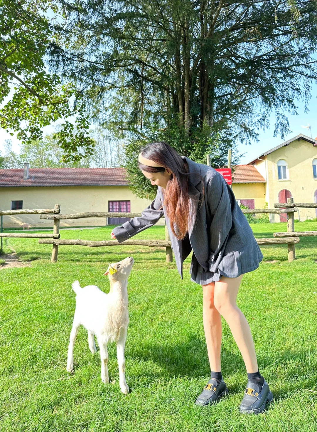 Where to Go This Weekend? Le Parc des Félins Near Paris