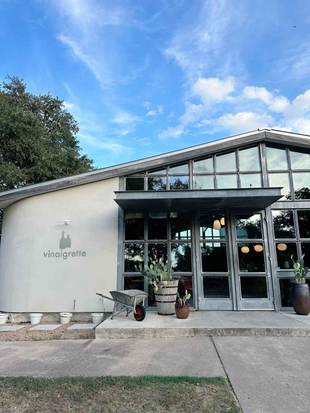 Austin – Healthy Light Duck Salad with Vinaigrette 🥗