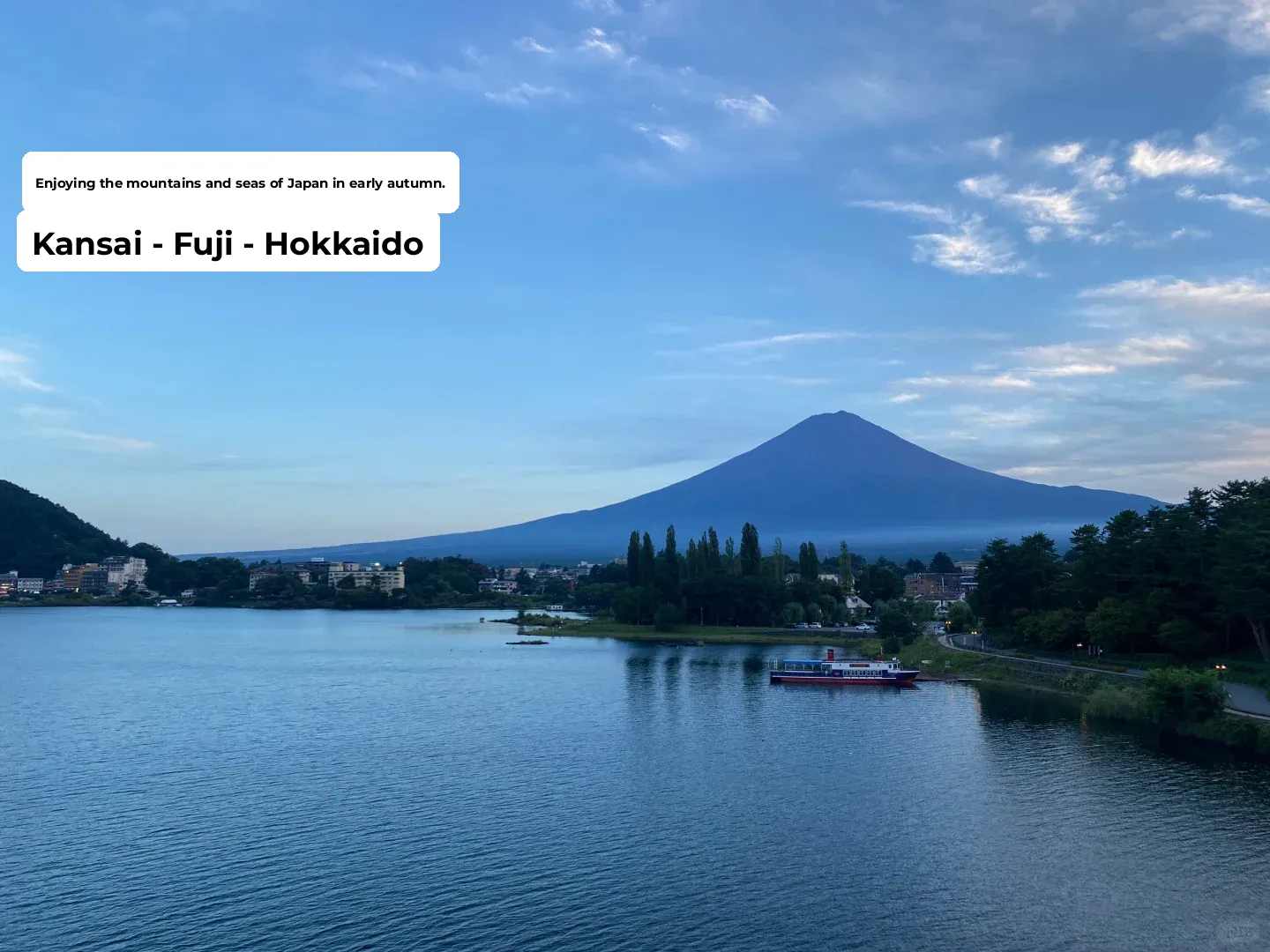 Strolling through Tokyo Streets & Freewheeling Rides & Vegan Eats Adventure 16