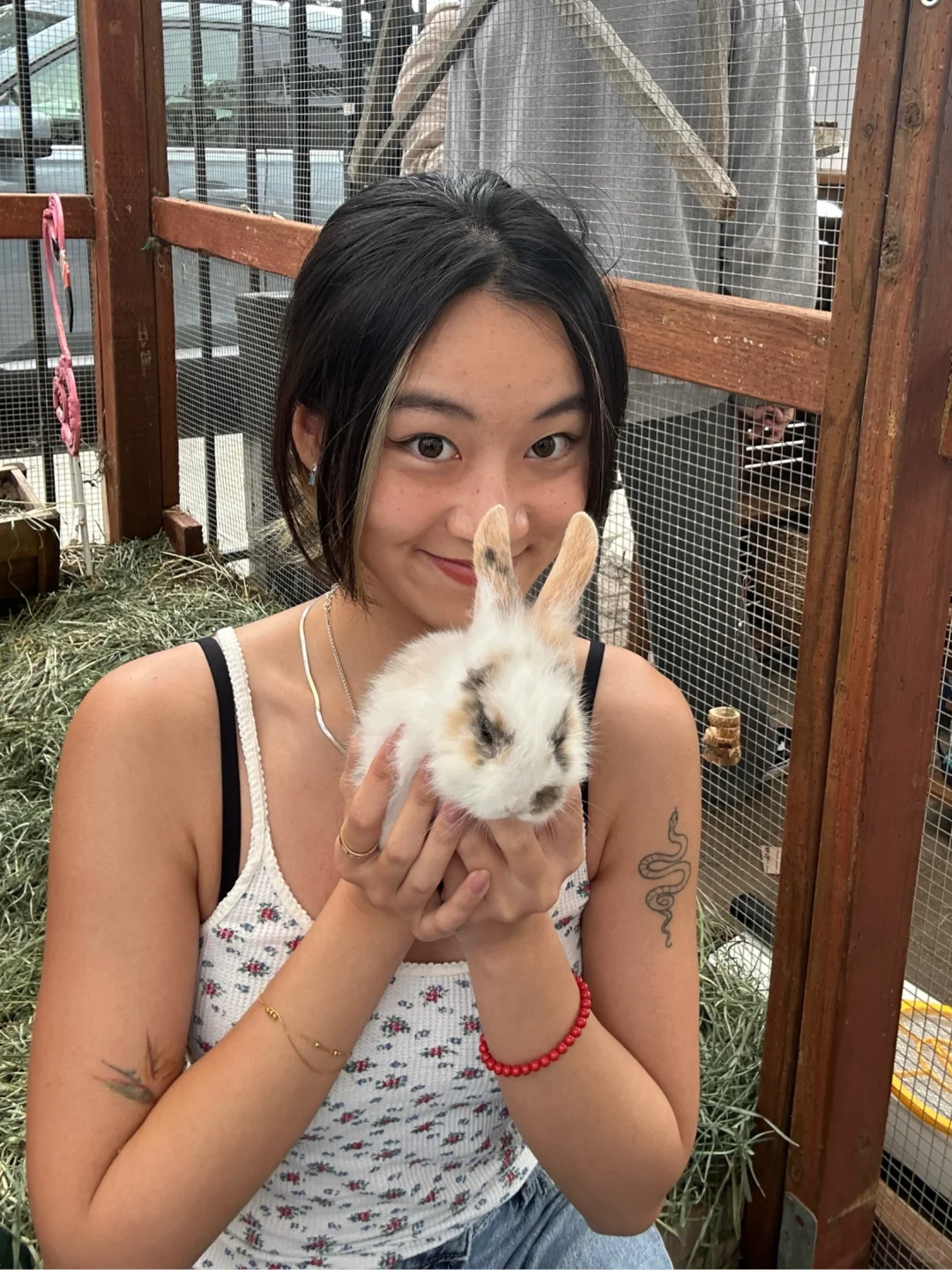 San Diego Bunny Café 🐰