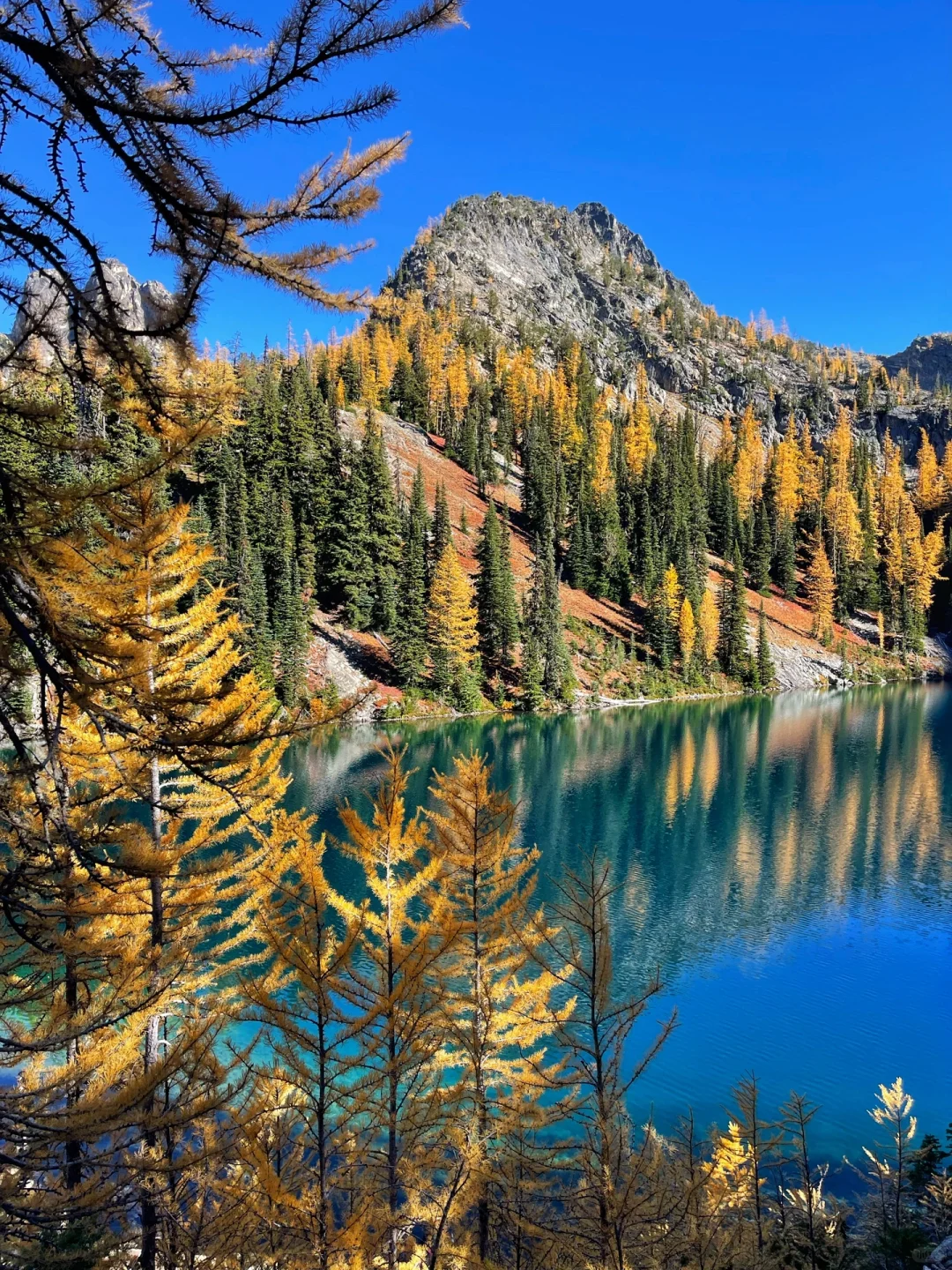Hiking｜Blue Lake's Breathtaking Golden Larch 🍂