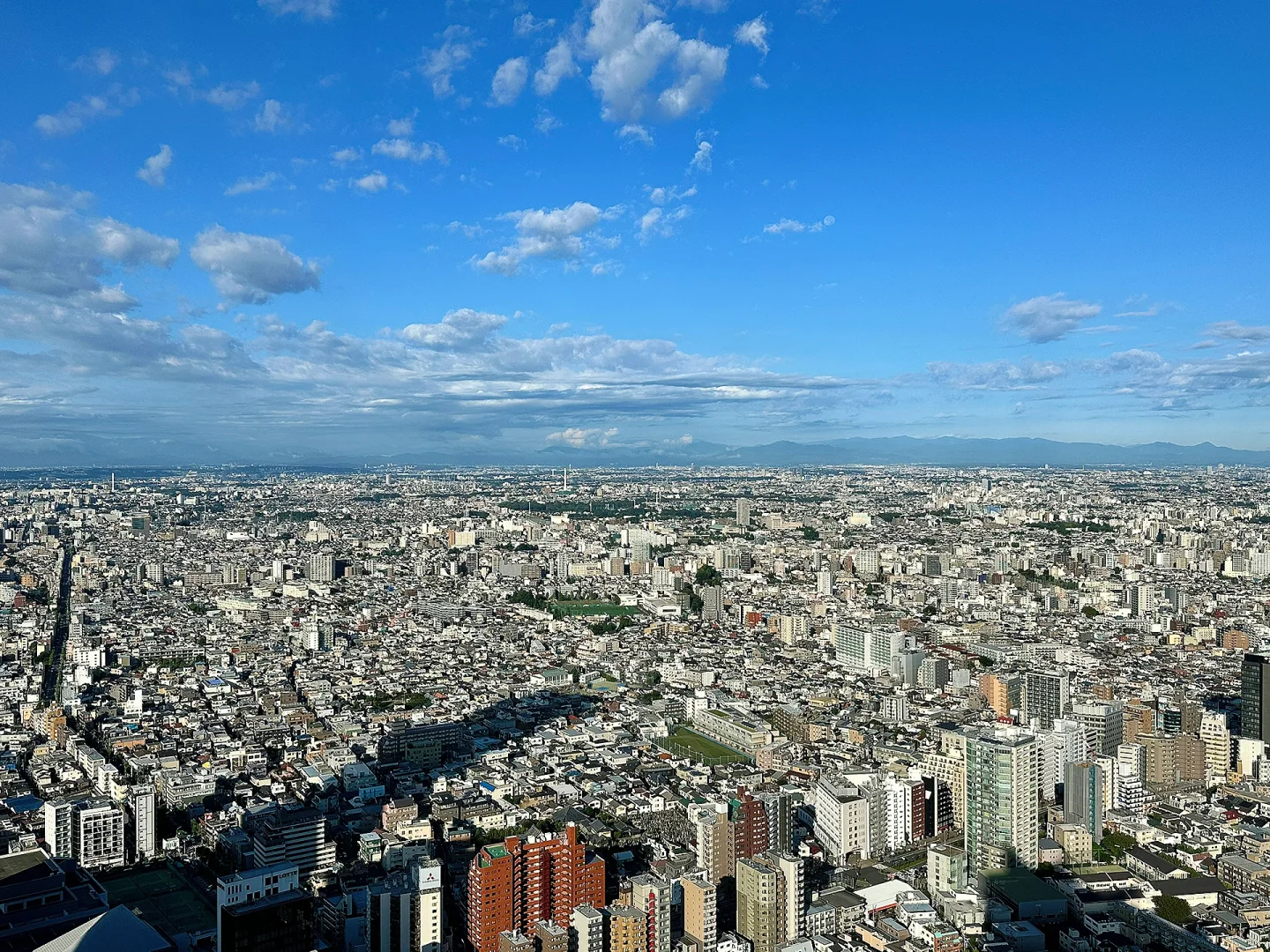 Unleashed Tokyo: A Laid-Back Adventure