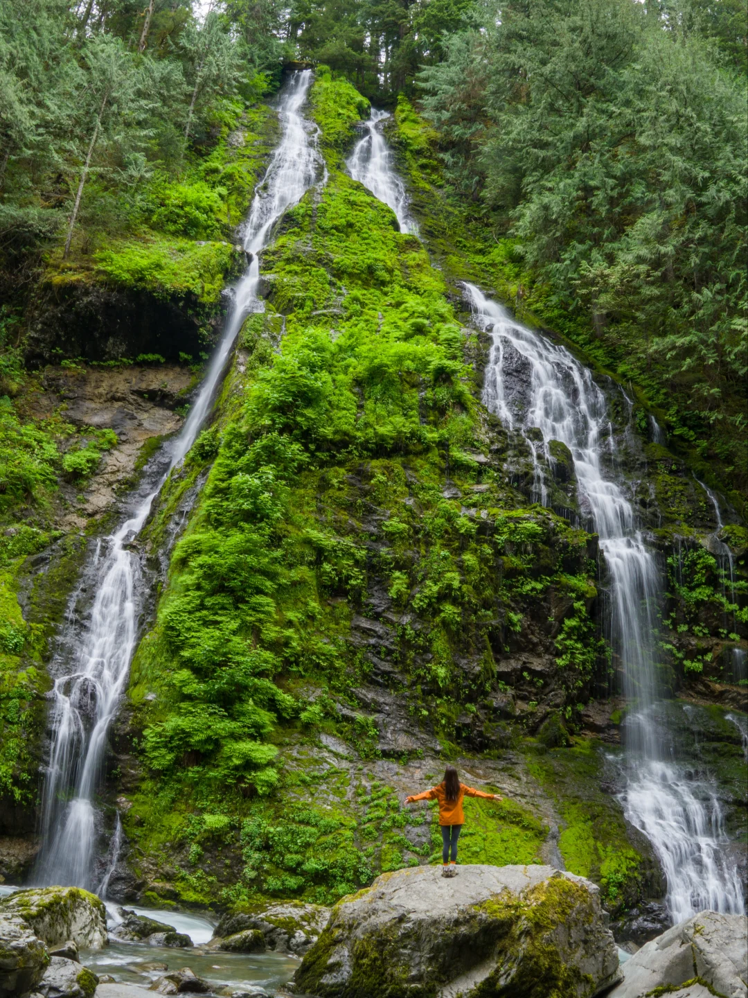 Seattle Forest Falls: Beat the Summer Heat with a Refreshing Escape