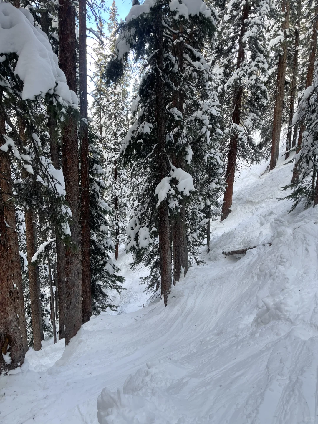 AC Frisco Ski Hotel at Copper Mountain – What to Avoid