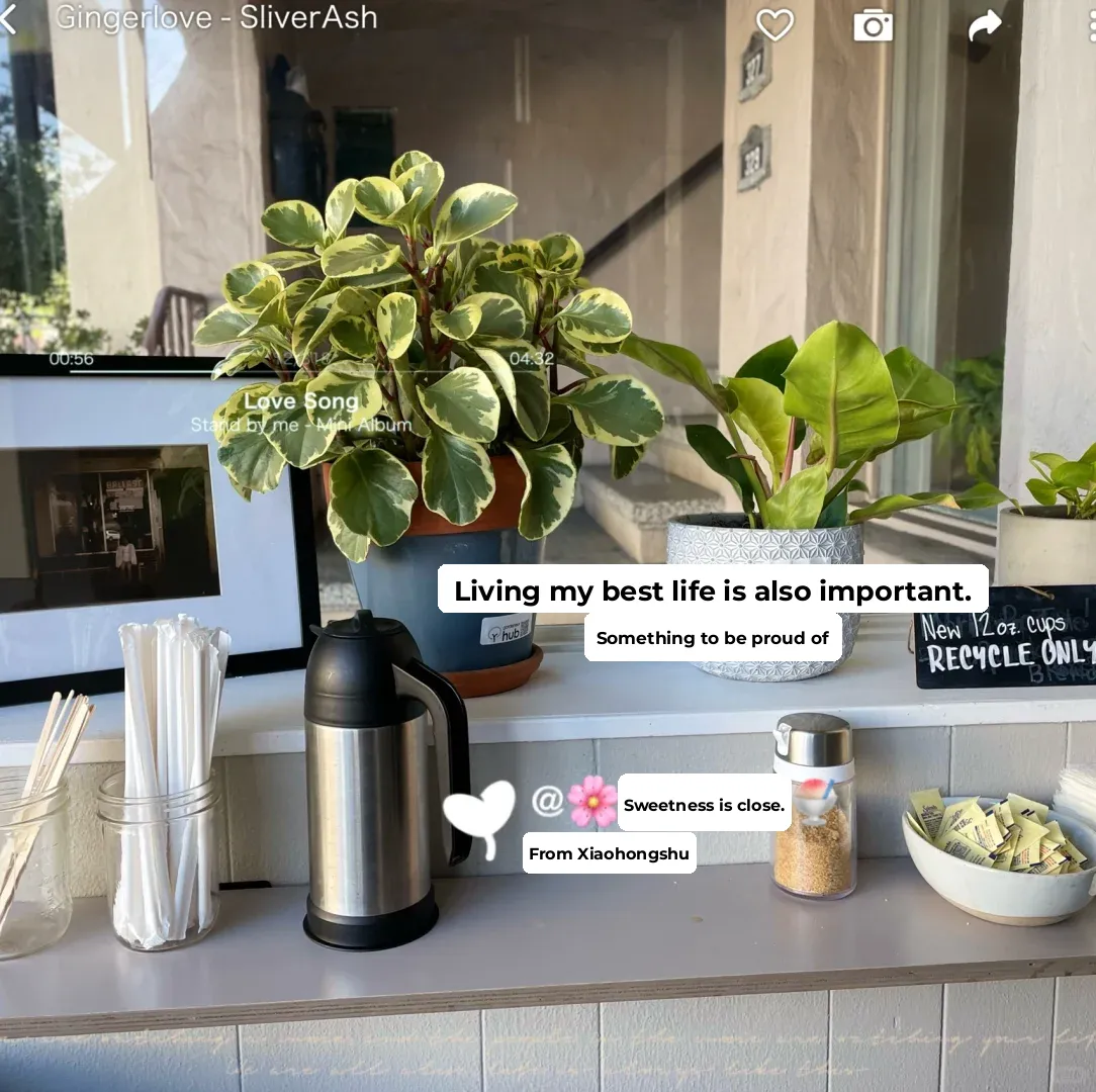 Coffee Shop Crawl | Ballast Coffee