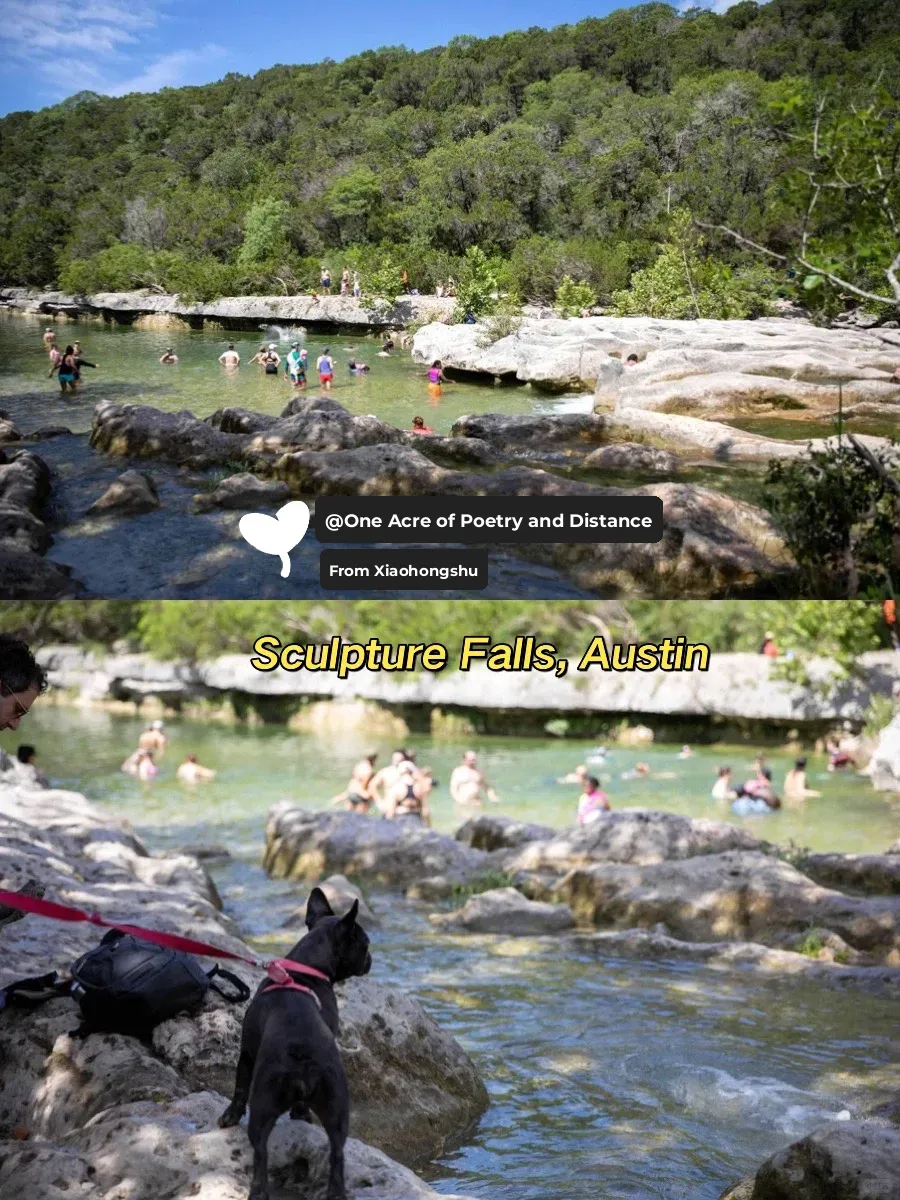 【Travel】Where to Go This Weekend: Guadalupe River State Park