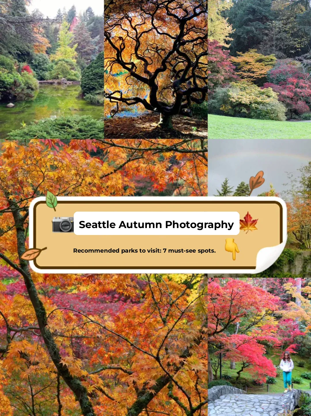 Autumn's too short, hate to miss it for real! 👀📷