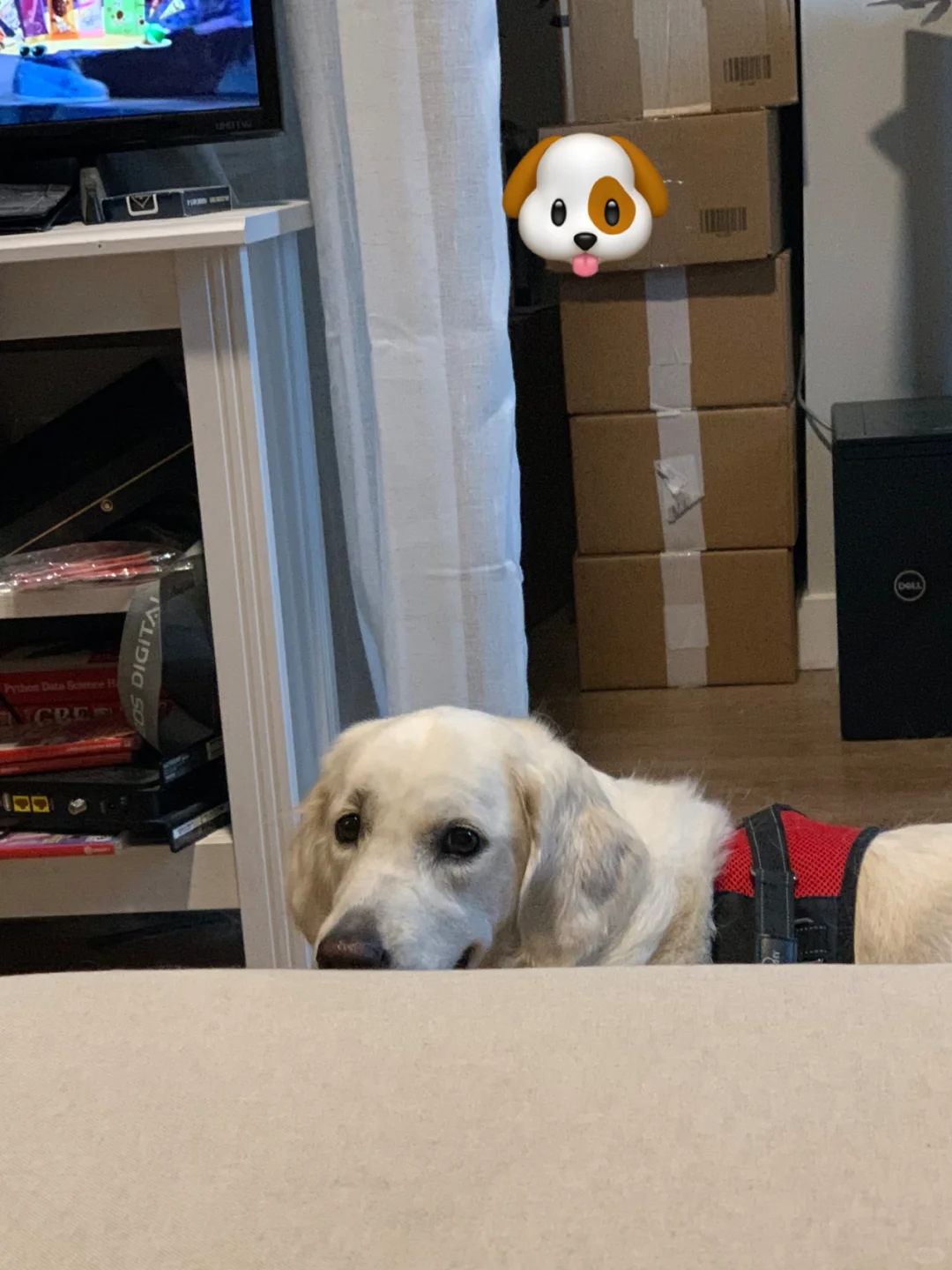 What's for Lunch Every Day in Bellevue?