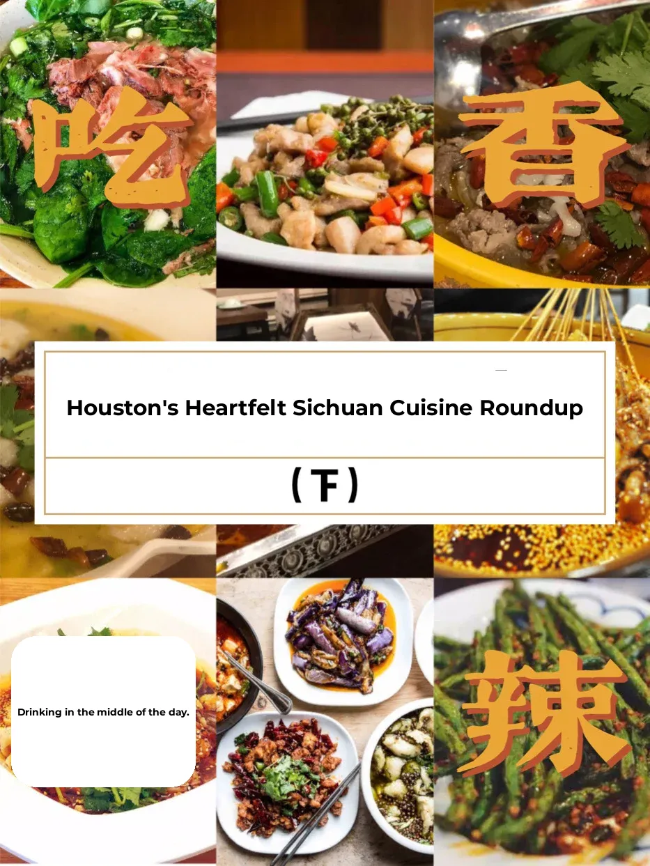 Houston Food Guide | Best Sichuan Restaurants (Part 2)