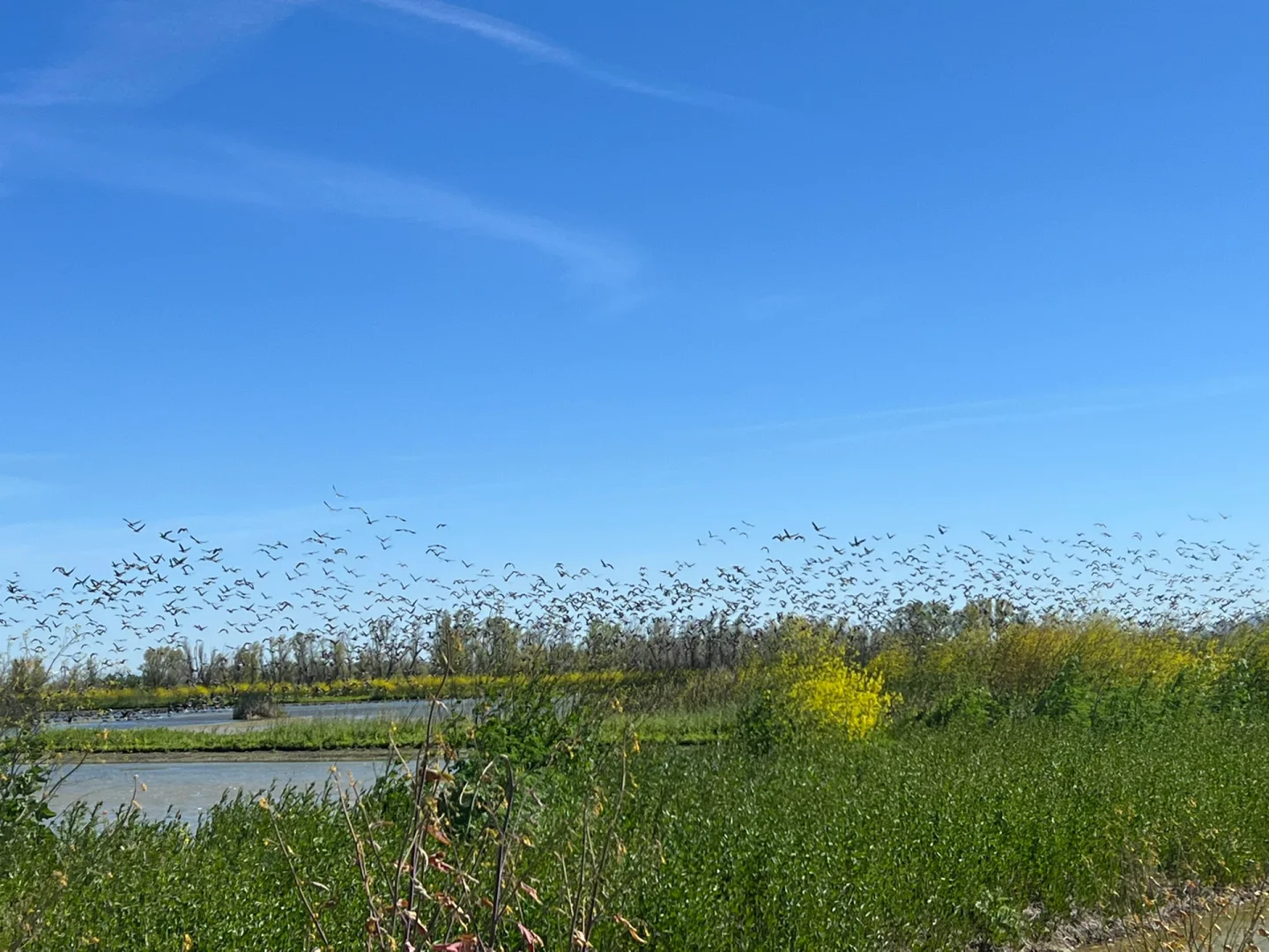 An Unexpected Weekend Getaway Near Sacramento/Davis