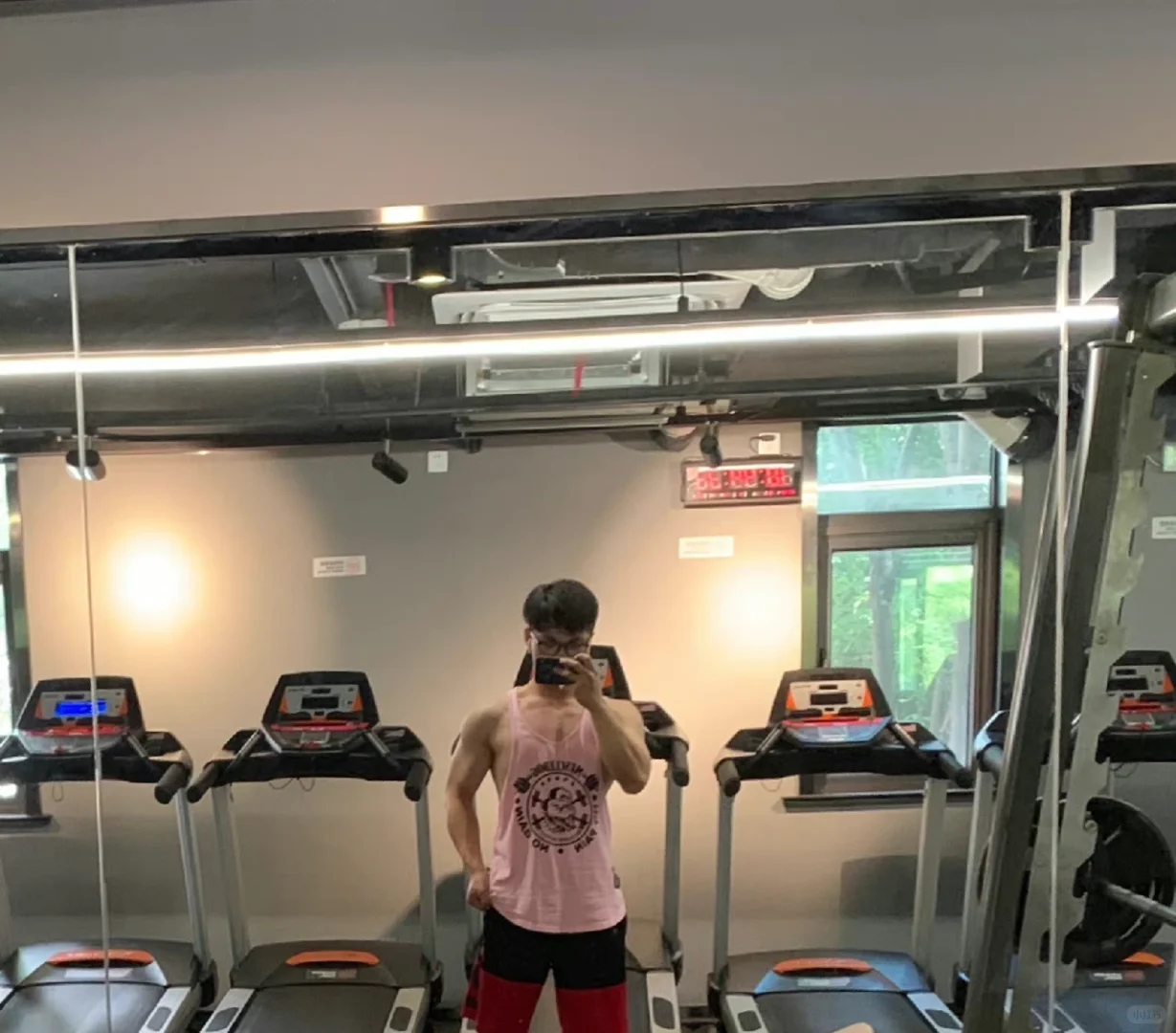 Back to the Gym: A Working Pig in Tampa, Florida, Ready to Get Fit Again