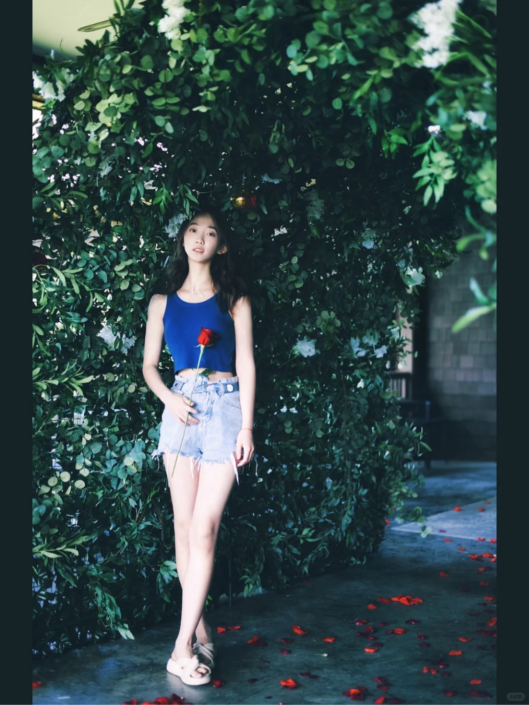 One-Day Trip to Cincinnati | The Tiffany Blue Bridge 💙