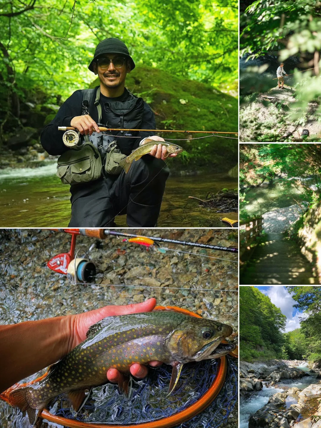 Hidden Gems in Japan | Summer Hiking, River Trekking, and Fishing 🎣