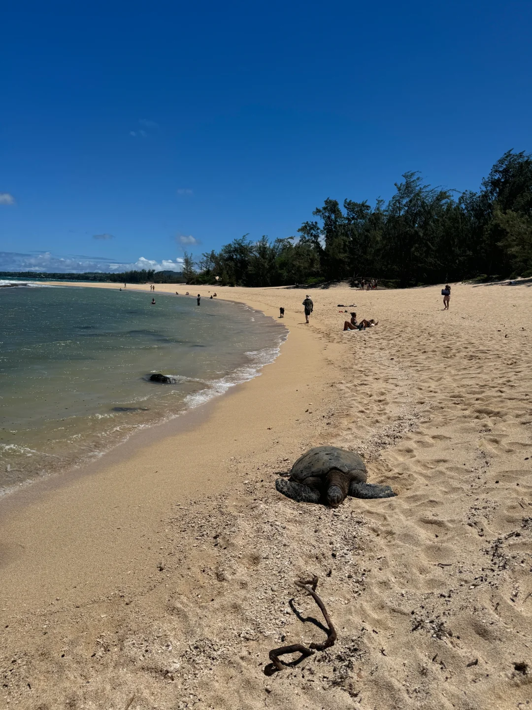 Maui (Mao Yi Island) Guide