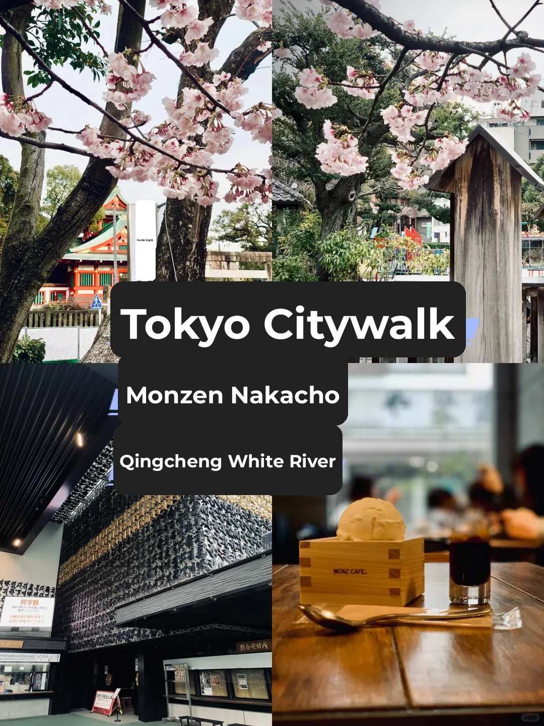 Tokyo Edo Era Citywalk - Kaminarimonchō & Kiyosumi-Shirakawa