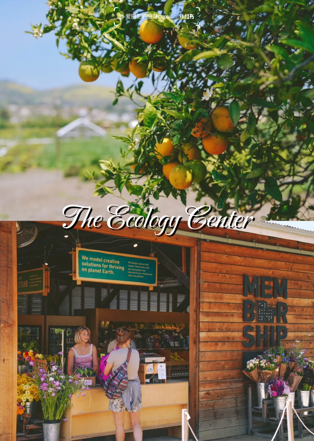 Orange County | A Hidden Gem Farm with Instagrammable Vibes in the Artistic Ancient Town 🧑🏻‍🌾