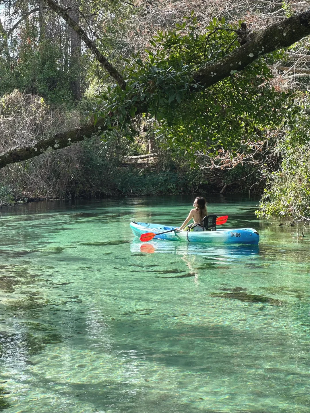 The Glass River in Tampa is incredibly clear 🥹