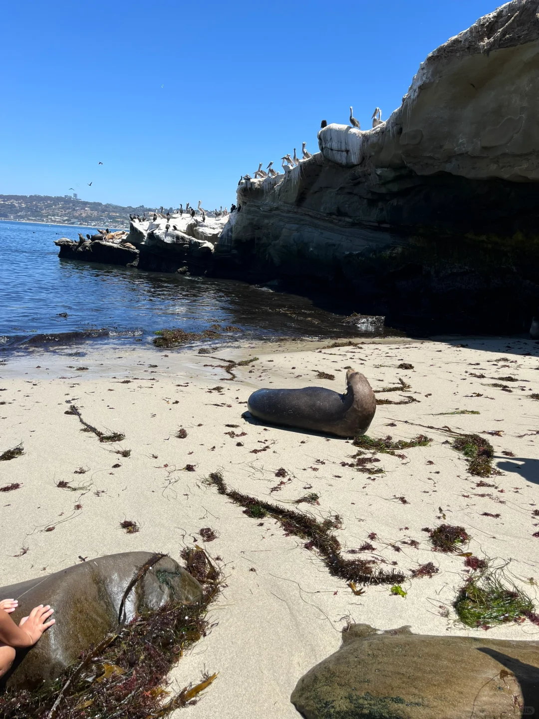 San Diego: Delicious Eats and Fun Adventures