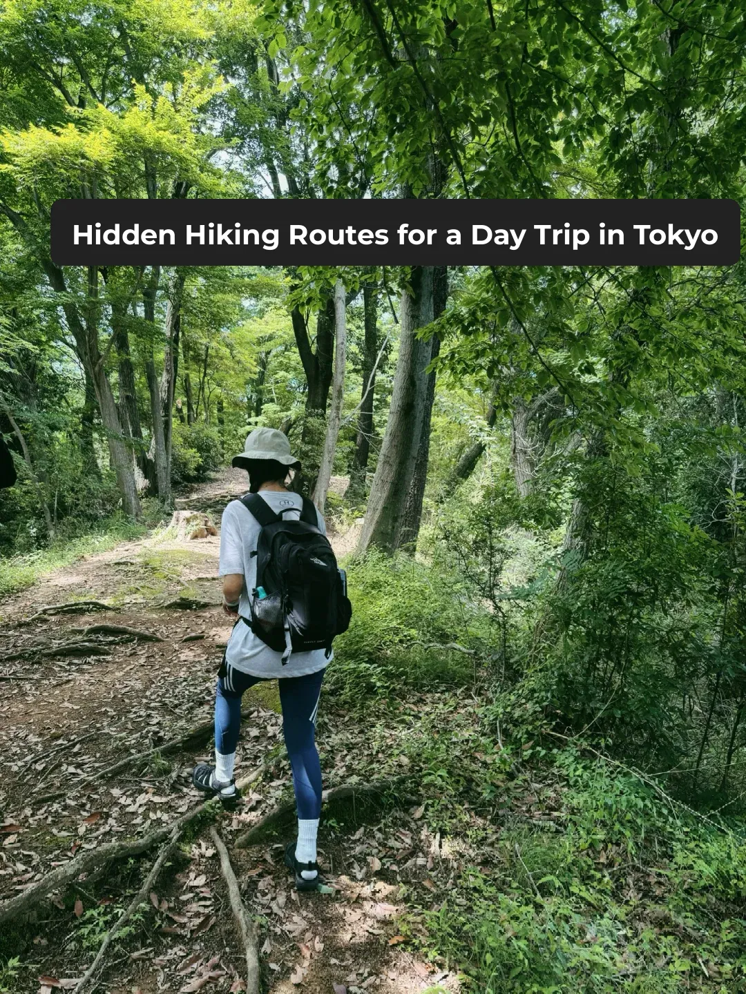 Ultra-Niche Tokyo Hiking Trail: Nanadaru Forest Park