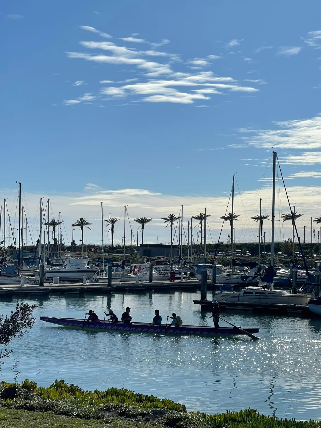 "Discover a Hidden Gem for a Perfect Stroll in the Bay Area"