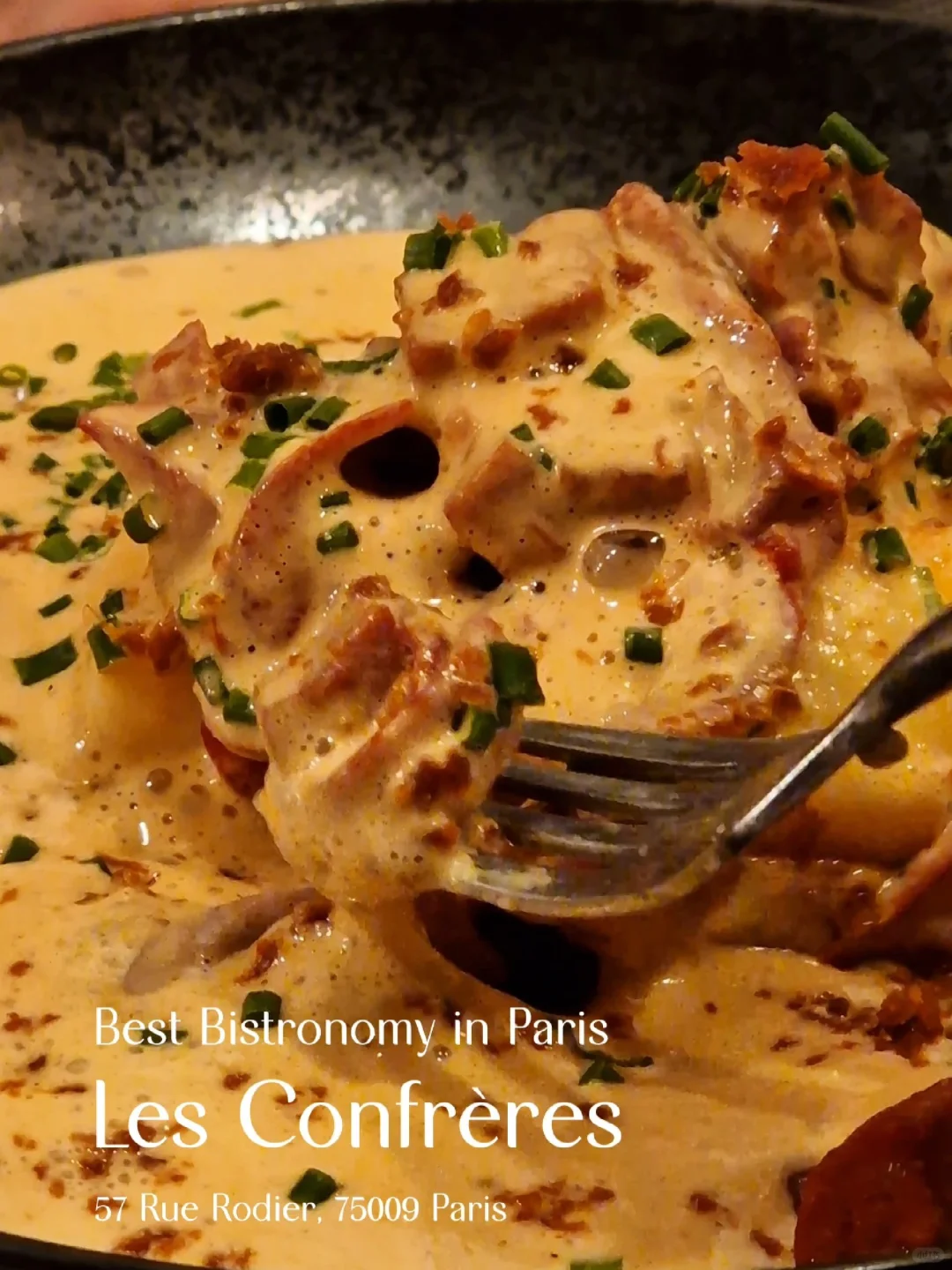 Top Parisian Bistro-Style Bars in Paris