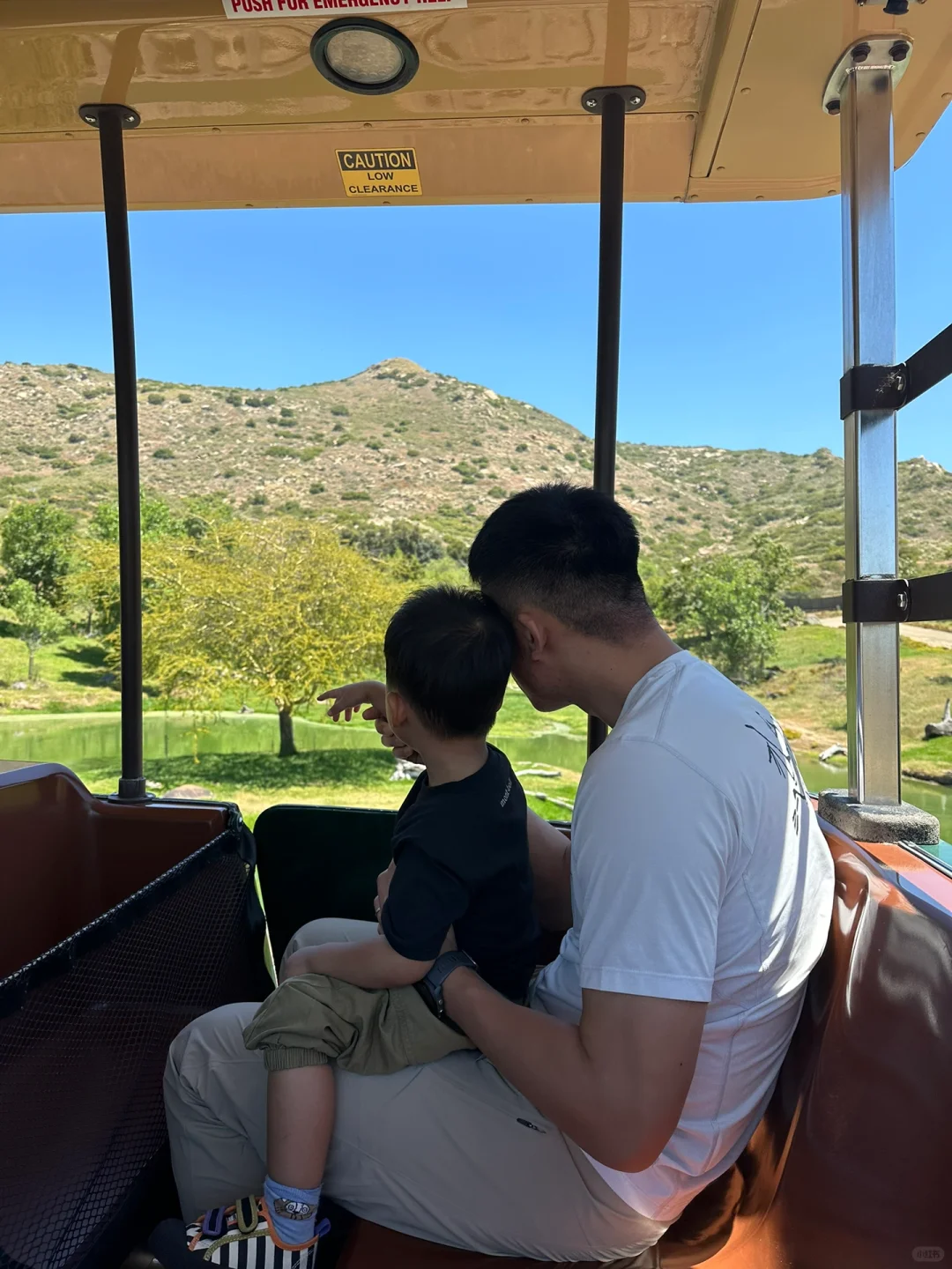 Wildlife Enthusiast's Guide to SD Safari Park with Awesome Walking Route