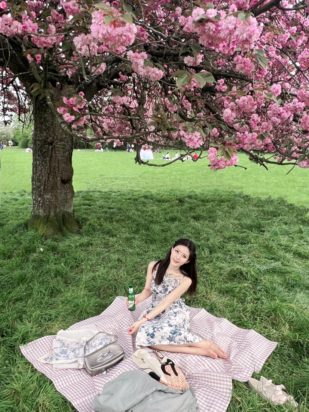 Paris Cherry Blossom Season 🌸 Ultra-Chill Town + Sakura Garden Picnic 🧺