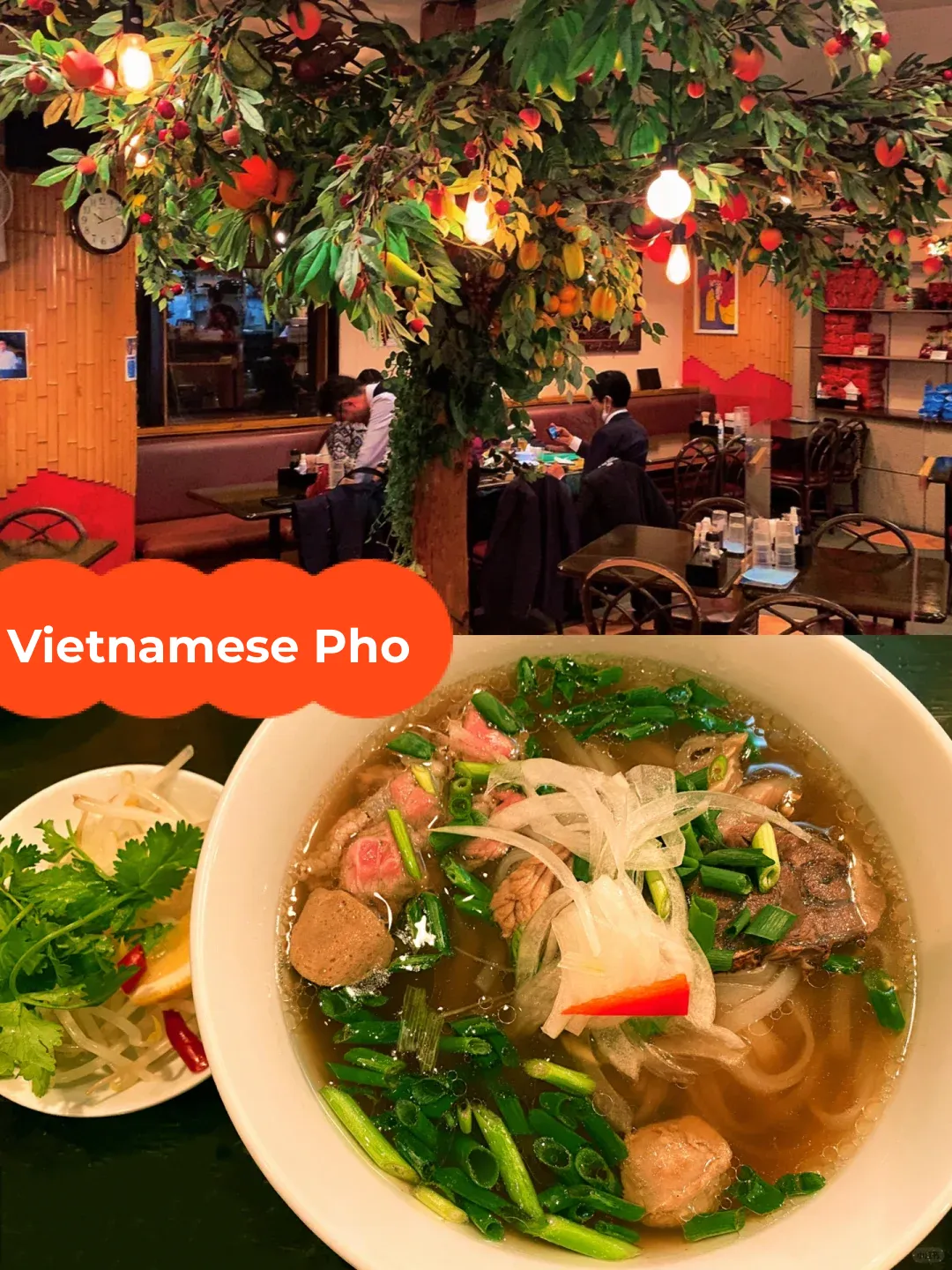 A Breath of Fresh Air in Ikebukuro | 🇻🇳 Super Popular Vietnamese Cuisine!