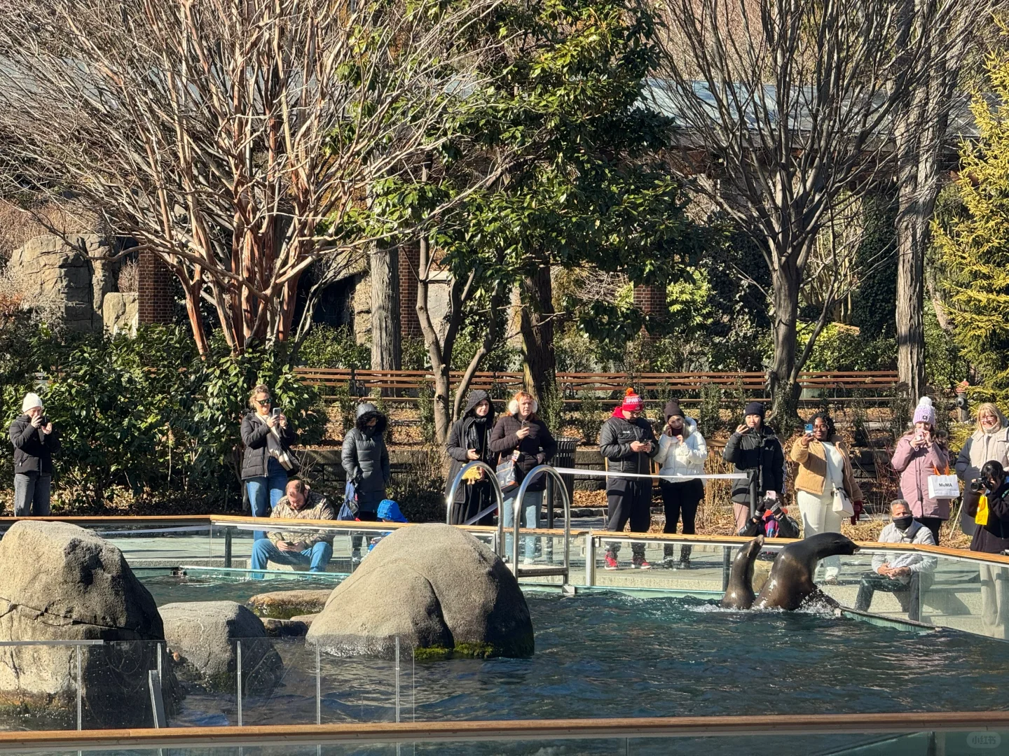 🌿 Hidden Gems of New York's Central Park! Zoo + The Arsenal