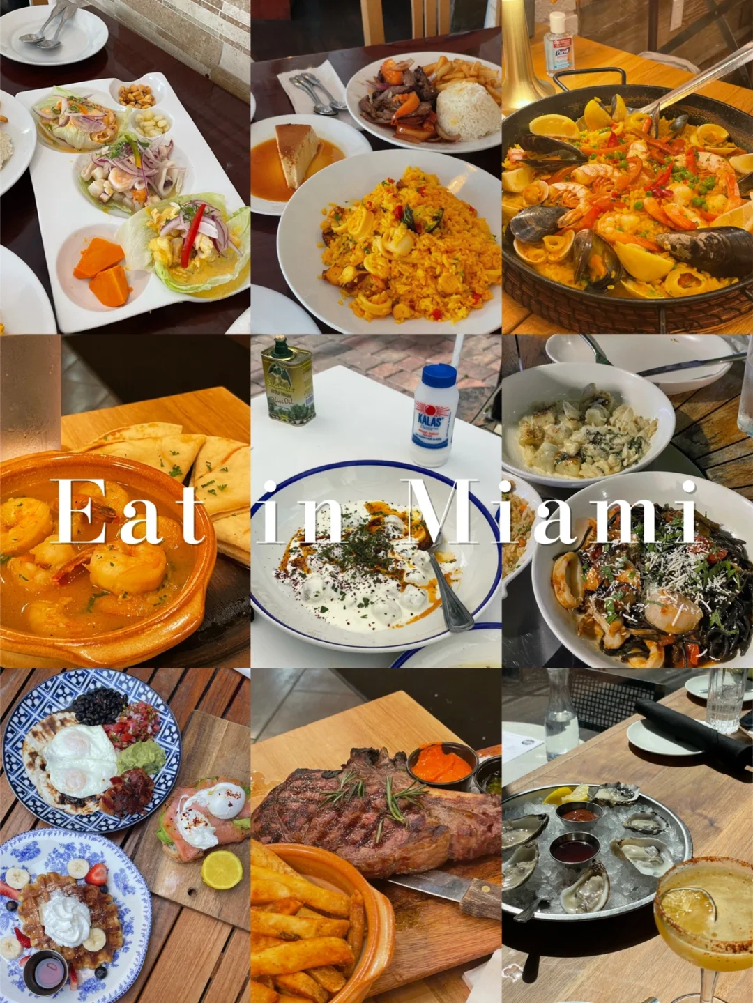 Miami🏝｜Zero-Disappointment Food Picks🌟｜Miami Spring Break Trip