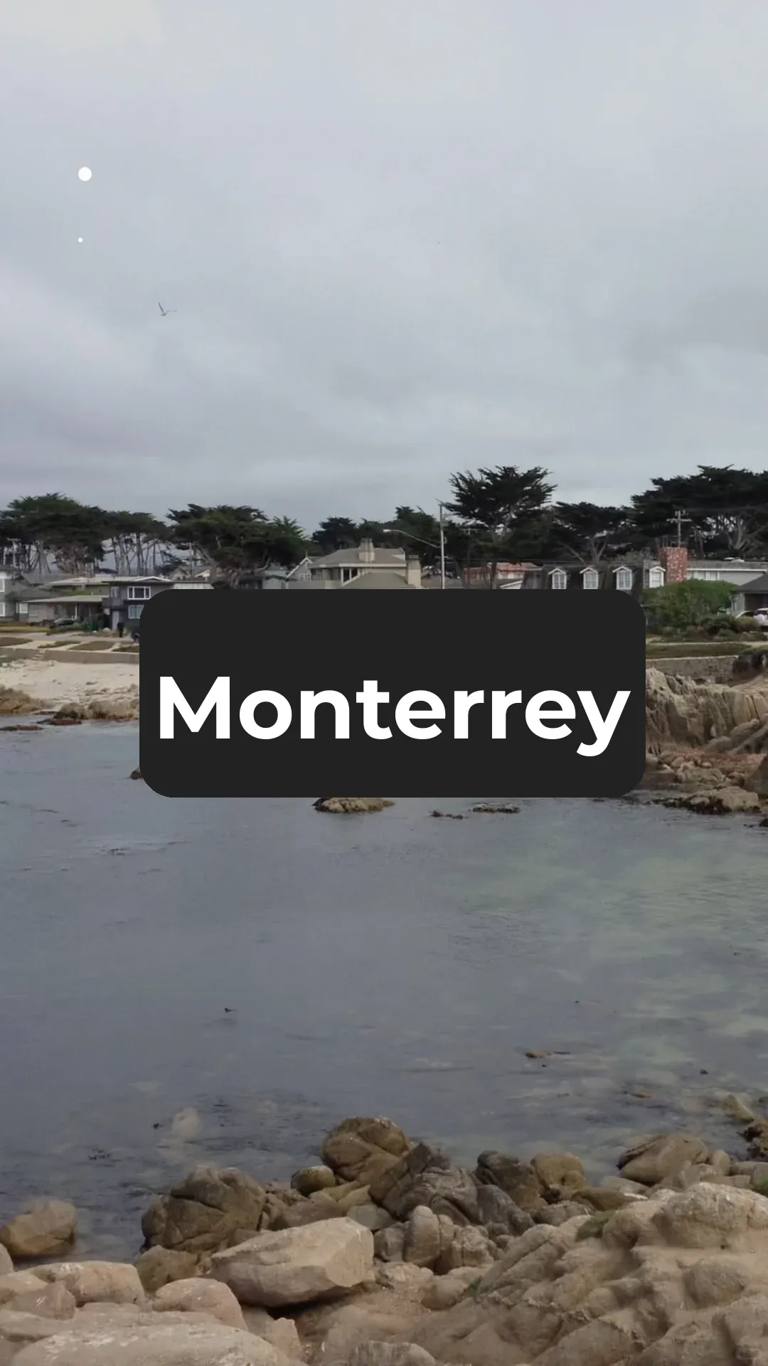 Monterey