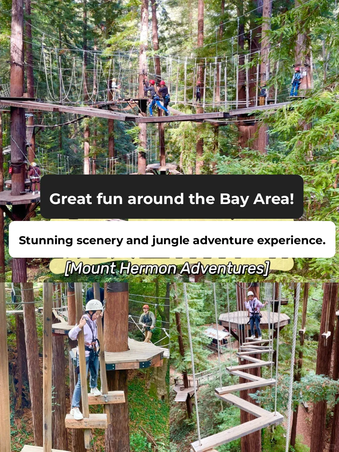 Bay Area Fun | Epic & Scenic Jungle Adventure Experience