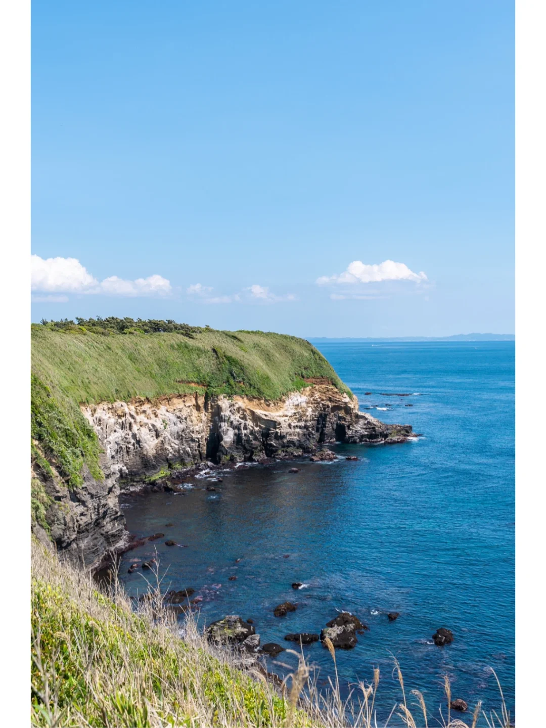 Island Hopping Near Tokyo | Jogashima to Koamirodaki Forest