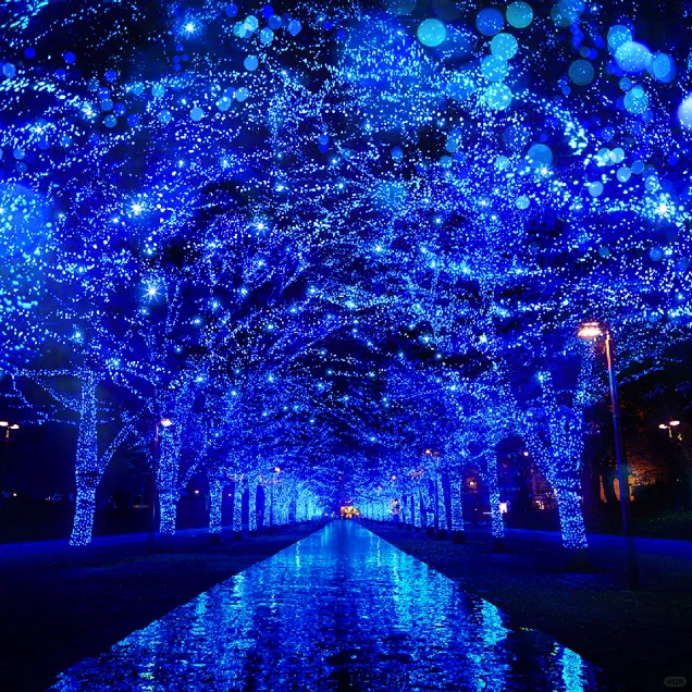 Japan's Ultra-Romantic Light Show! Dive into a Sea of "Stars" 🌌