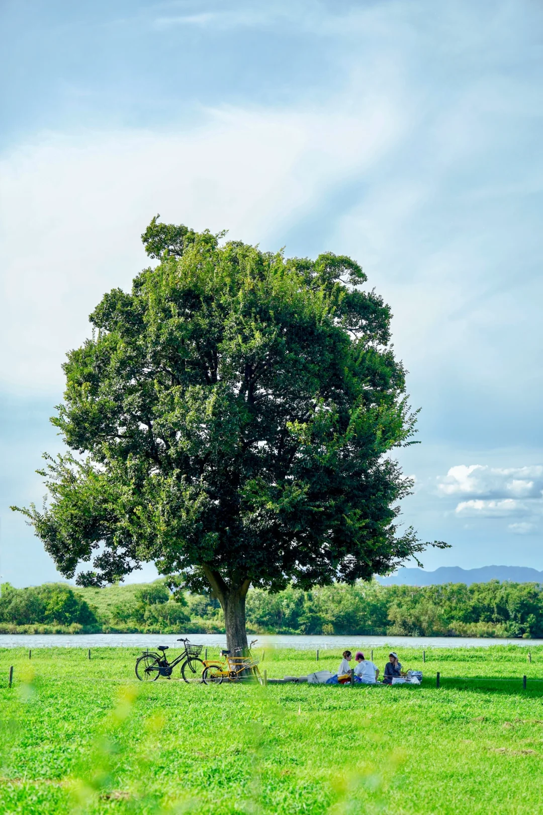 Escape the Crowds: 6 Hidden Gems in Osaka for a Tranquil Experience